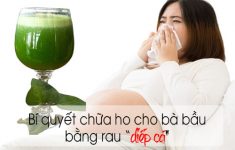 Chữa ho cho bà bầu bằng rau diếp cá