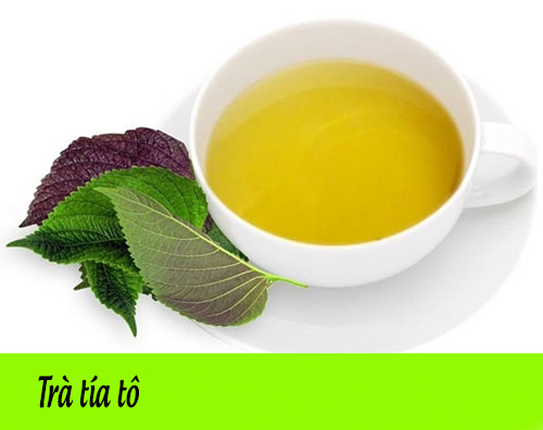 Pha trà tía tô CHỮA CẢM CÚM BÀ BẦU