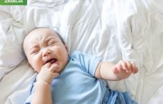 Tiết lộ cách chữa ho bo trẻ sơ sinh bằng rau diếp cá3