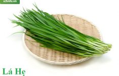 Tiết lộ cách chữa ho cho trẻ sơ sinh bằng lá hẹ hiệu quả2