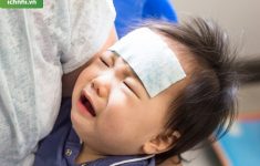 Trẻ sơ sinh bị cảm sốt do đâu