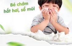Áp dụng ngay bài thuốc trị ho cảm cho trẻ em ngay khi mới chớm