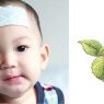 Một số bài thuốc hạ sốt cho trẻ bằng lá tía tô